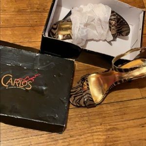 Carlos santana roulette